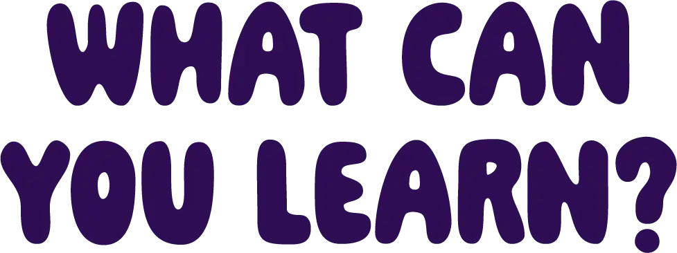 What can you learn?