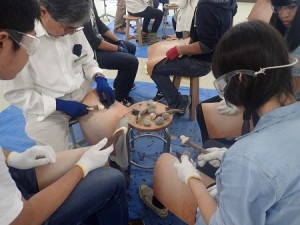 OLYMPUS DIGITAL CAMERA