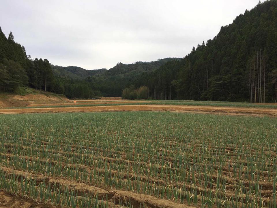 minamisanriku_161014_3