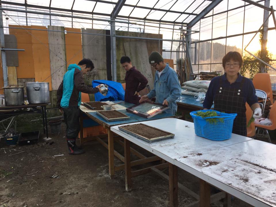 minamisanriku_161014_4