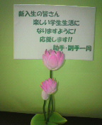 2011051311330000.jpg