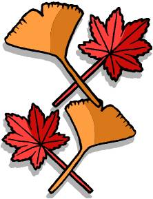 いちょう.jpgのサムネール画像