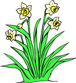 図1.jpgのサムネール画像