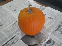 IMG_0795.JPGのサムネール画像