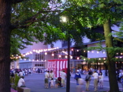 ●P1010412.JPGのサムネイル画像のサムネイル画像