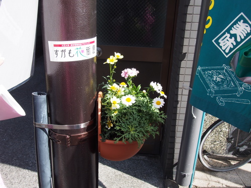 フラワーポット設置完了