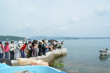 DSC_0220.JPGのサムネイル画像